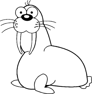 Walrus