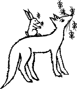 Bunny Sat On Fox