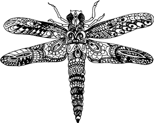 Dragonfly