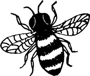 Honey Bee