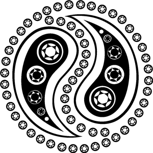 Paisley Decoration