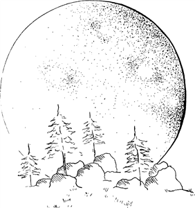 Moon & Trees