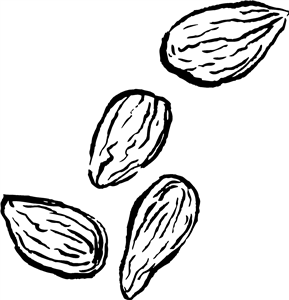 Almond Nuts