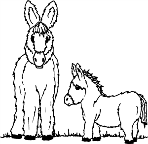 Donkey & Foal