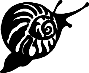 Snail