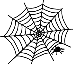 Spider Web