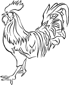 Rooster