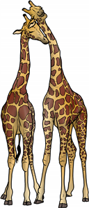 Cuddling Giraffes