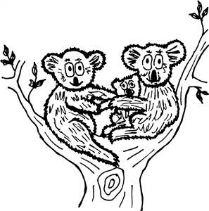 Koala Family