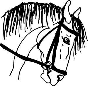Horse With Bridle