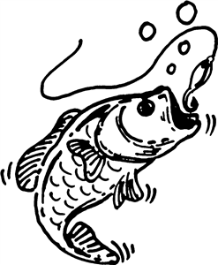 Fish & Hook