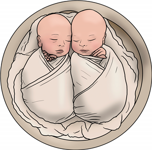 Twin Babies