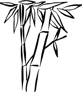 Bamboo