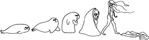 Seal Woman Evolution
