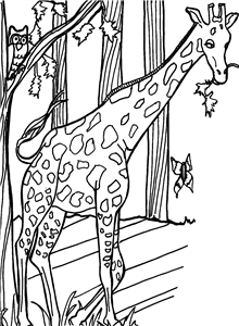 Giraffe In The Jungle