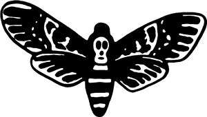 Death Head Moth