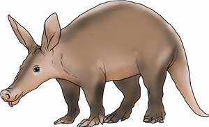 Aardvark