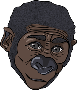 Baby Gorilla