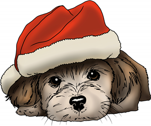 Christmas Havanese Puppy