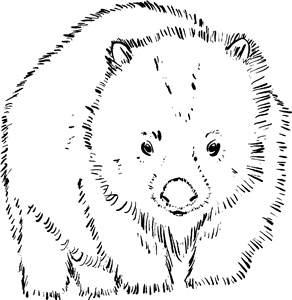 Wombat