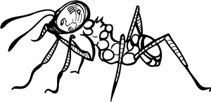 Ant
