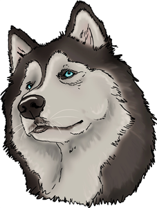 Husky Dog Head