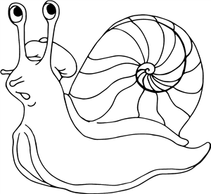 snail