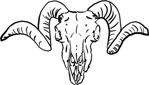 Ram Skull