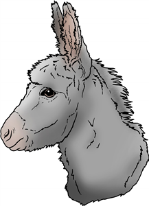 Donkey Head