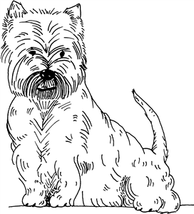 West Highland Terrier