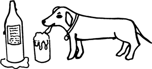 Dog Drinking Beer