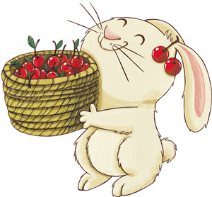 Bunny & Cherries