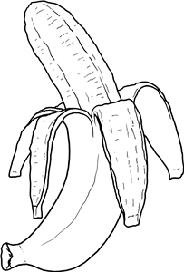 Peeled Banana