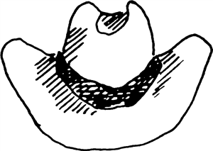 Cowboy Hat