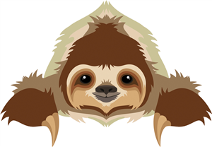 Resting Sloth