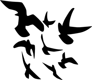 Flock Of Birds