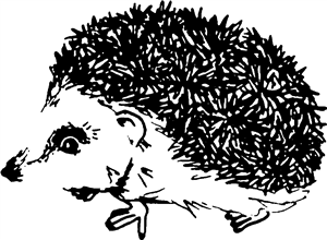 Cute Hedgehog