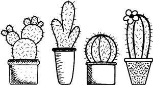 Row Of Cacti