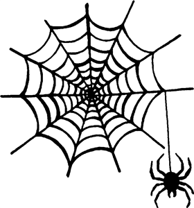 Spider & Web