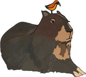 Capybara & Bird