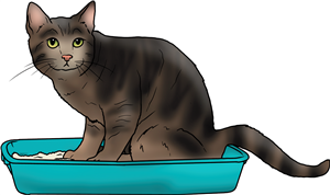 Cat Using Litter Tray