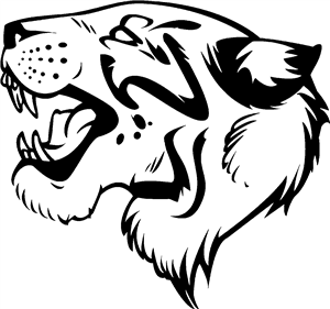 Tiger Head