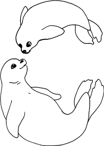 Seal Duo