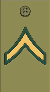 Army Private Rank Insignia