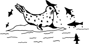 Fish & Seal