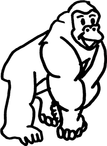 Gorilla
