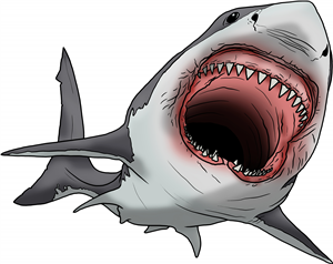 Great White Shark Bite