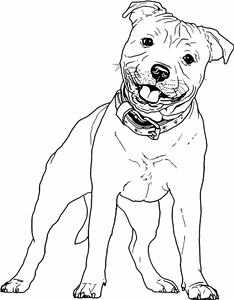 Staffordshire Bull Terrier