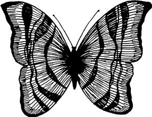 Stripy Butterfly