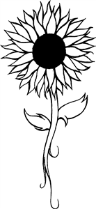 Beautiful Sunflower